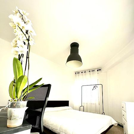 Apartamento Cebra Daire Zaragoza Dış mekan fotoğraf